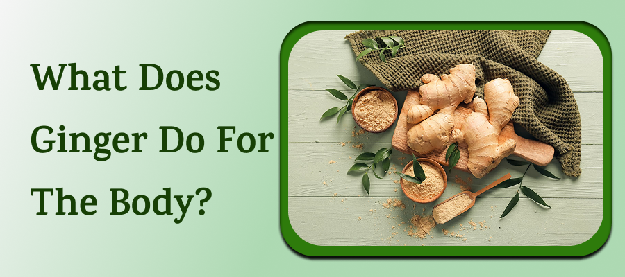 What Does Ginger Do For The Body? 1 What Does Ginger Do For The Body