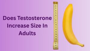 Does Testosterone Increase Size In Adults