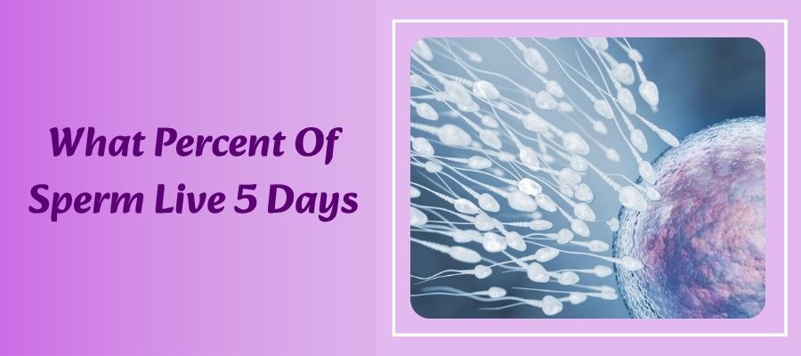 What Percent of Sperm Live 3 Days?- Real Facts
