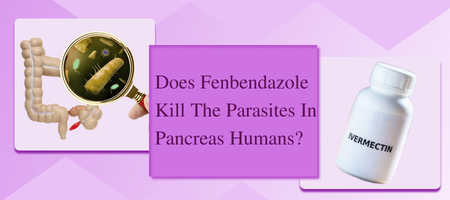 Does Fenbendazole Kill The Parasites In Pancreas Humans?