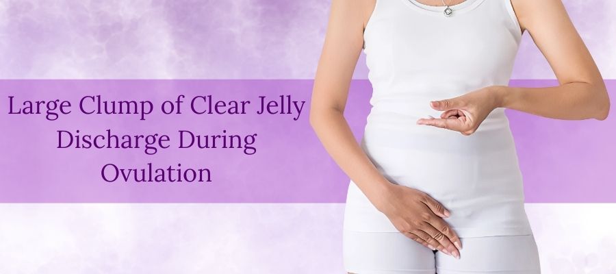 Large Clump of Clear Jelly Discharge During Ovulation 1 Large Clump of Clear Jelly Discharge During Ovulation