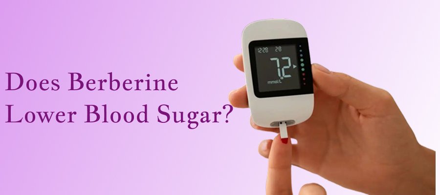 Does Berberine Lower Blood Sugar